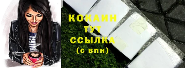 стаф Новокубанск