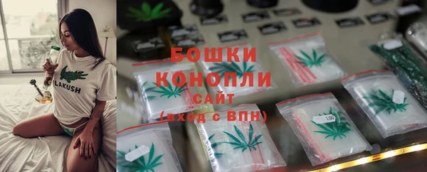 стаф Новокубанск