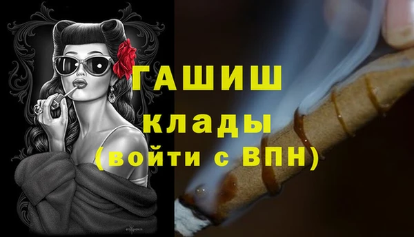 стаф Новокубанск