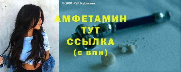 стаф Новокубанск