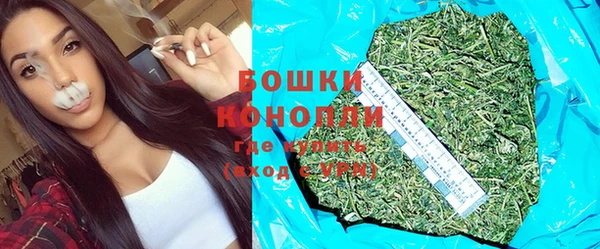 стаф Новокубанск