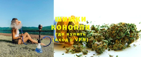 стаф Новокубанск