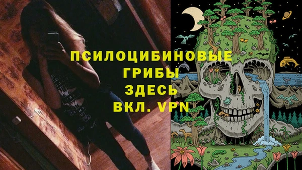 гашишное масло Новодвинск