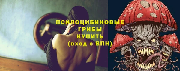 МДПВ Новозыбков